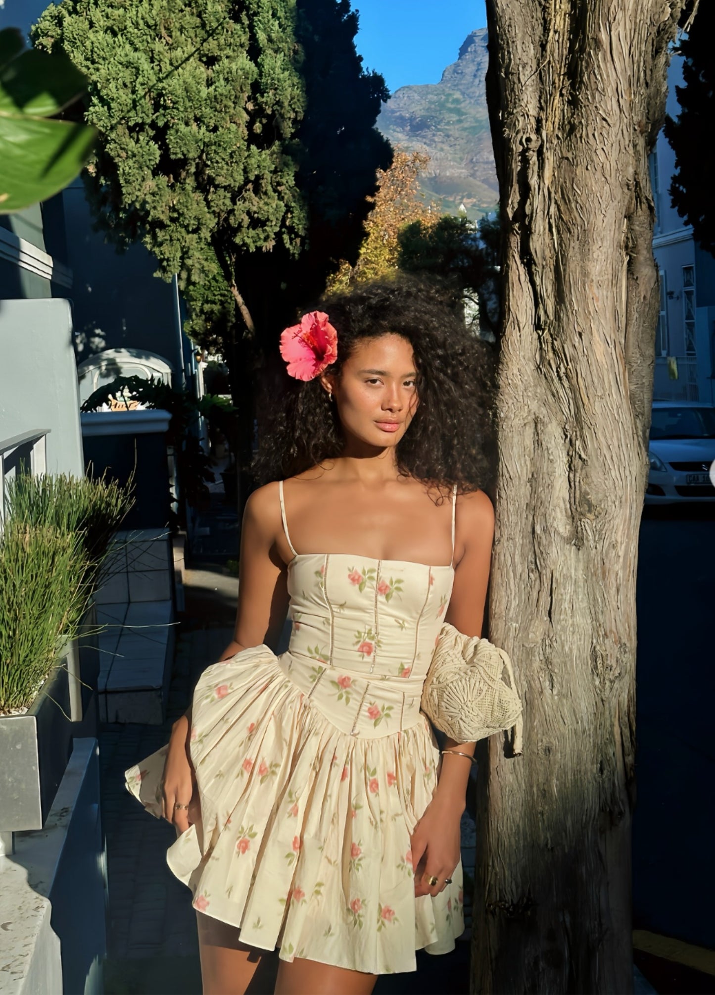 Seraphina Mini Dress - Cream Rose